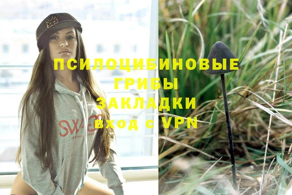 эйфоретик Дмитровск
