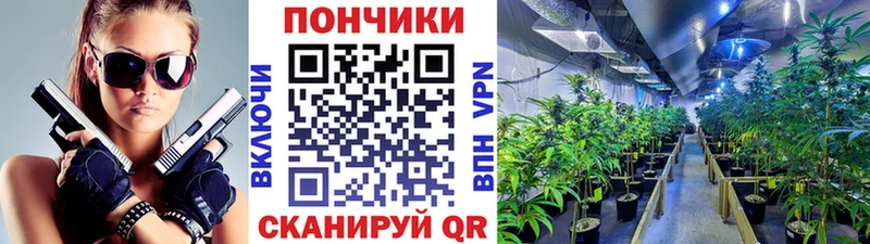 Купить Богородск Конопля MAZAR